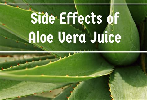 Side Effects of Aloe Vera Juice - Ayurvedum