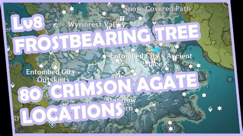 80 Crimson Agate Locations + Lv.8 Frostbearing Tree !! - YouTube