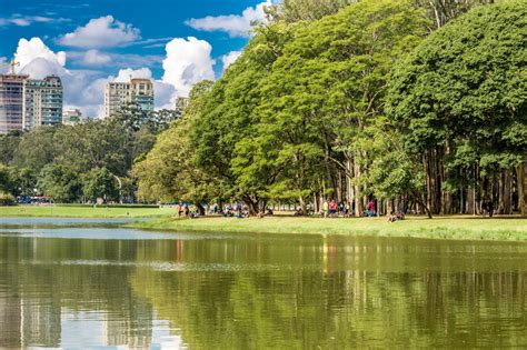 Os 10 melhores parques de São Paulo | CicloVivo