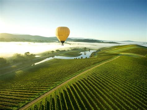 The 7 Best Wineries in the Yarra Valley