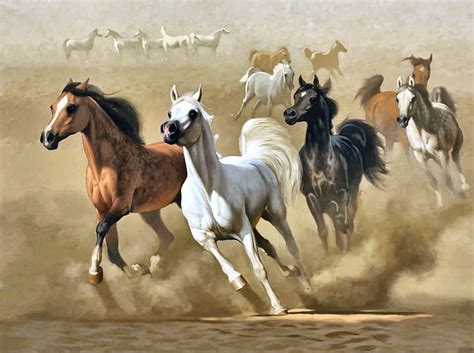 Wild Arabian Horses In The Desert