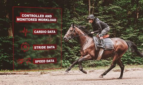 Racehorse's training workload: why quantify it?