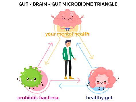 Biogreen2U Online Organic Store. Gut-Brain Axis