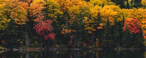 Visit NH : Ultimate New Hampshire Fall Foliage Road Trip Guide