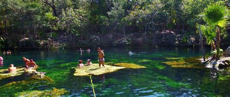 Everyone's favorite cenote to visit-El Jardin Del Eden - Everything Playa Del Carmen