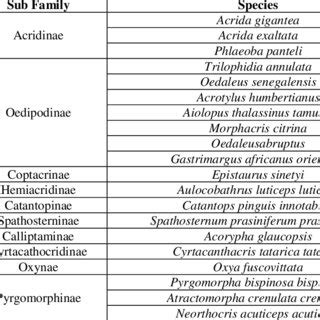 List of the Grasshopper Species in the present study | Download ...