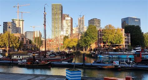 Recorrido por la Ciudad de Róterdam - Rotterdam | FREETOUR.com