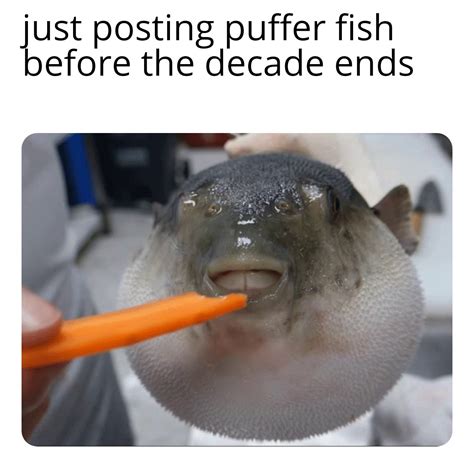 Puffer fish one more time before the decade ends : r/memes