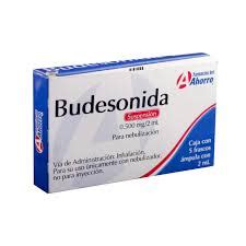 What Is Budesonide;When You Should Use Budesonide - Notes Read