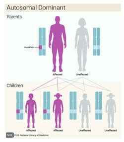 Van der Woude Syndrome | Cincinnati Children's