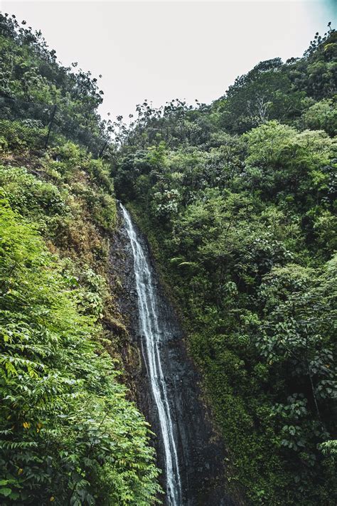 14 EPIC Hikes to Waterfalls in Oahu