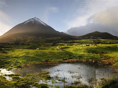 The volcano, 2351 meters high, at the Pico island. His last eruption was in 1720. Azores islands ...