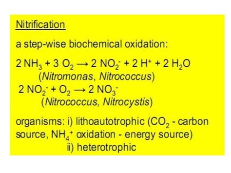 Lab.10 methods for estimating nitrification process