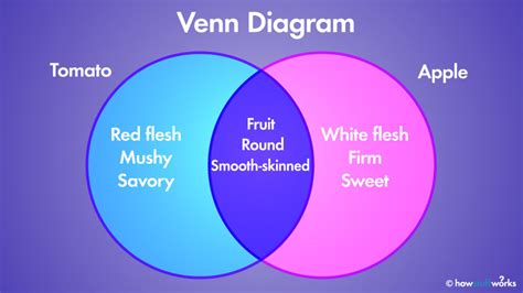 The Venn Diagram: How Overlapping Figures Can Illustrate Relationships | HowStuffWorks