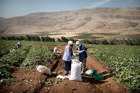 The West Bank and Gaza Strip - Humanitarian Response Plan 2018 : FAO in Emergencies