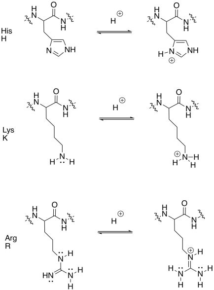 6.3: Strategies in Enzyme Catalysis - Chemistry LibreTexts