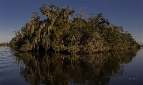 Blue Bayou Photograph by Tim Bryan | Pixels