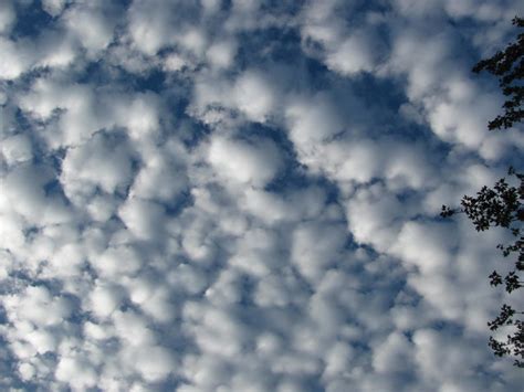 cotton balls or Altocumulus clouds | Flickr - Photo Sharing!