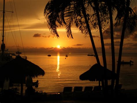 Negril, Jamaica at sunset | Surf turf, Jamaica, Sunset