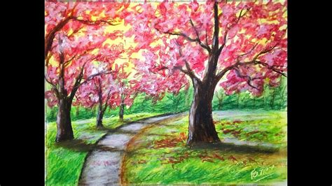 Cherry Blossom tree painting with oil pastel/cherry blossom tree ...