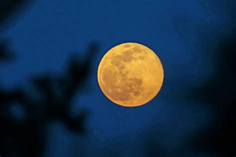 First full moon of the Year of the Ox in China - CGTN