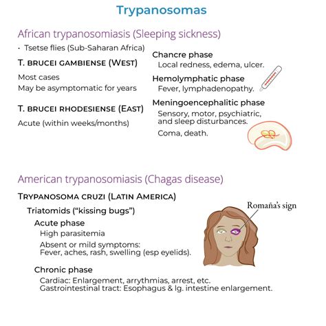 Trypanosoma Brucei Symptoms