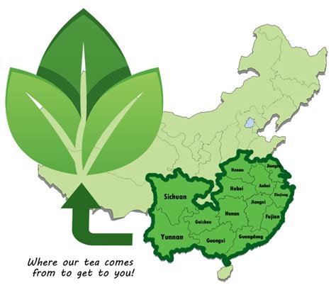 Tea Map of China - LANTea House