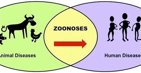 4-H’s healthy approach to zoonotic diseases