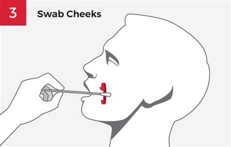 Buccal Swab DNA-Collection Instructions | DDC