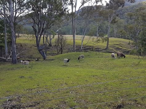 Goomburra Valley Campground - 2013 Inverramsay Rd, Goomburra QLD 4362, Australia