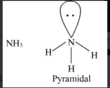 NH4+ and CH4 bond Angles are same but NH₃ has different bond angle why - Brainly.in