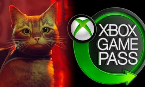 Stray Game Release Date Xbox - Attract Mode