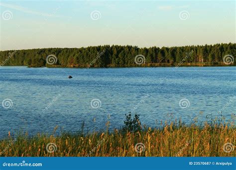 Landscape at Sunset, Forest and River Stock Image - Image of forest ...