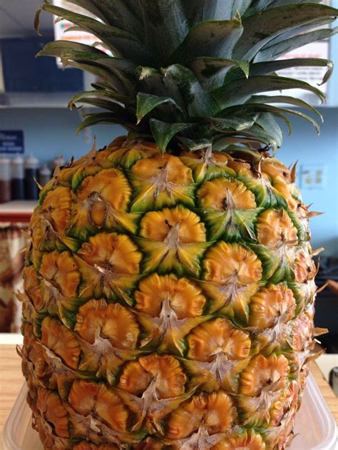 Hawaiian pineapple. Hawaiian, Pineapple, Fruit, Food, Pine Apple, Essen ...