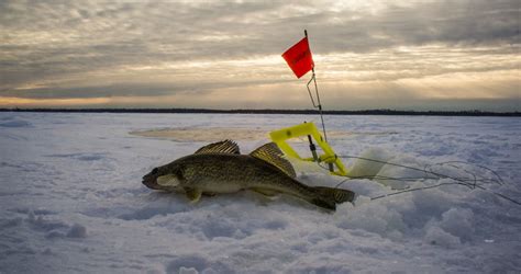 Red Lake Walleye Jan 8-11, 2015 - DIY Sportsman