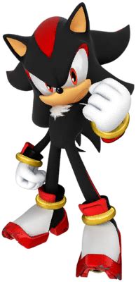 Obraz - Sonic Dash Shadow.png | Sonic Wiki | FANDOM powered by Wikia