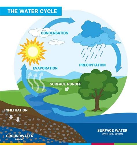 Hydrology in Civil Engineering | Importance of Hydrology | Scope of ...