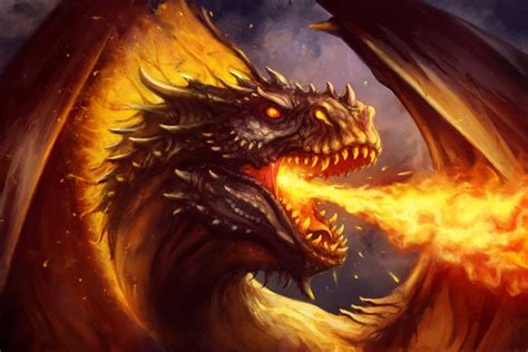 Fire Dragon by PaladinPainter | Fire dragon, Dragon art, Dragon artwork