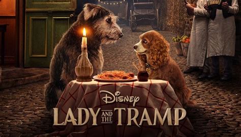 Lady and the Tramp Trailer Released | What's On Disney Plus