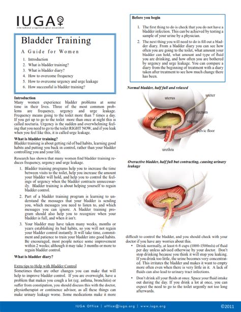 Floor Exercises Patient Information Leaflet - Carpet Vidalondon