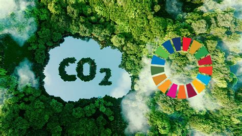 SDG 13 Climate Action: How to be part of the solution