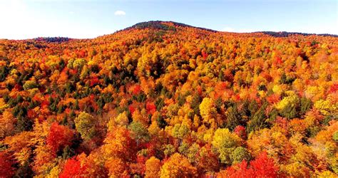 Pin by Anna Maria on Fall Beauty | Fall foliage map, Foliage map, Fall foliage