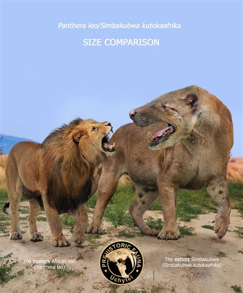 Simbakubwa and lion (size comparison) in 2023 | Prehistoric animals ...