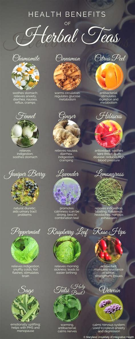 Pin by glynfy5raw on Health in 2020 | Herbal tea benefits, Herbalism ...