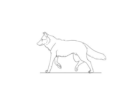 Wolf walk Animation Test by Aunumwolf42 on DeviantArt