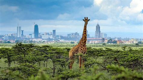 Nairobi National Park | Travel Information, Tours & Best Time Visit | SafariBando