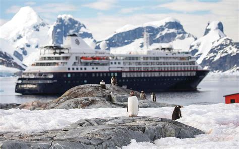 6 Trips to Antarctica, From Photography Journeys to Luxury Ships