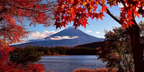 TOP 10 locations to see the fall foliage in Japan this year that you ...