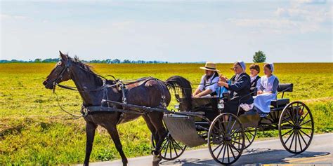 12 things we could learn from Amish parents