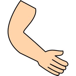 Hand arm clipart - Clipground